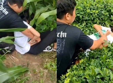 Нижнее видео XXX видео
